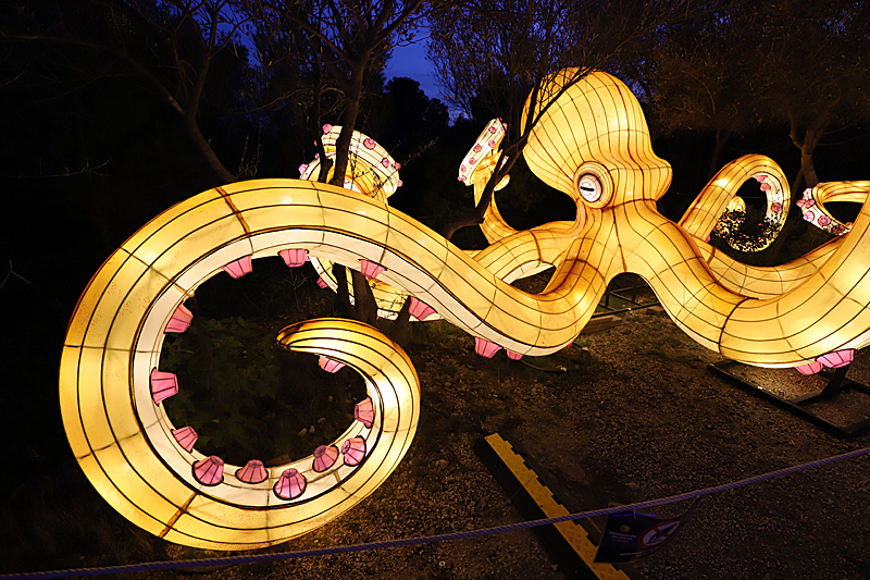 Lumières Africaines ! - Lanternes à la réserve africaine de Sigean
