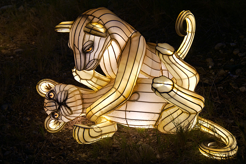 Lumières Africaines ! - Lanternes à la réserve africaine de Sigean