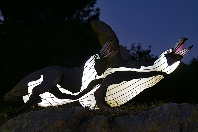 Lumières Africaines ! - Lanternes à la réserve africaine de Sigean