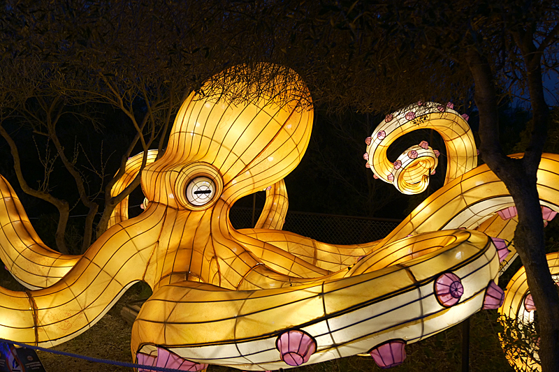 Lumières Africaines ! - Lanternes à la réserve africaine de Sigean