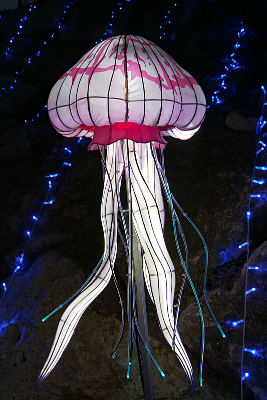 Lumières Africaines ! - Lanternes à la réserve africaine de Sigean