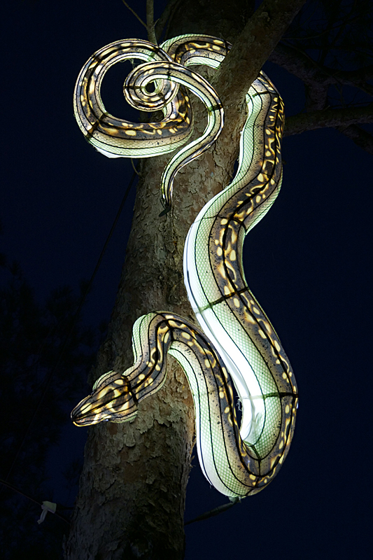 Lumières Africaines ! - Lanternes à la réserve africaine de Sigean