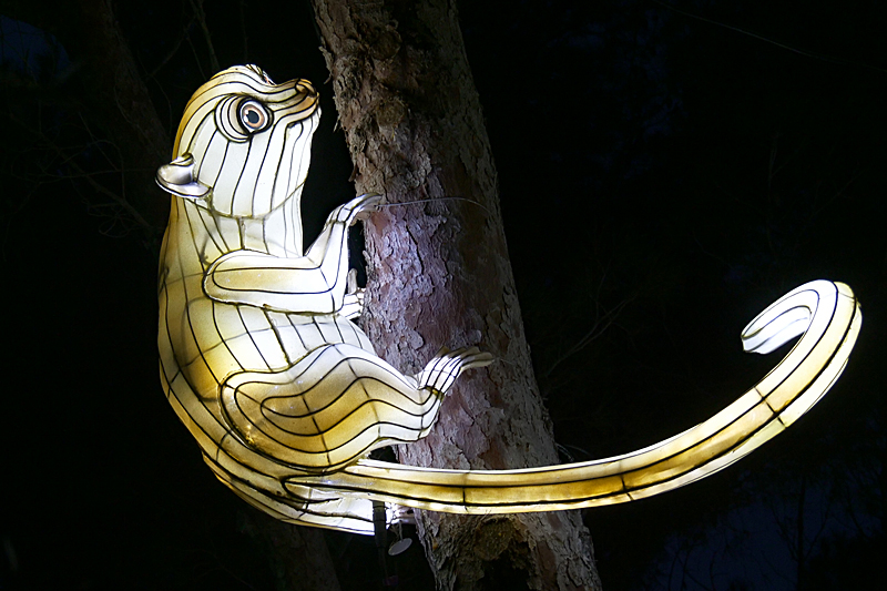 Lumières Africaines ! - Lanternes à la réserve africaine de Sigean