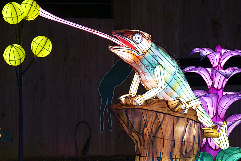 Lumières Africaines ! - Lanternes à la réserve africaine de Sigean