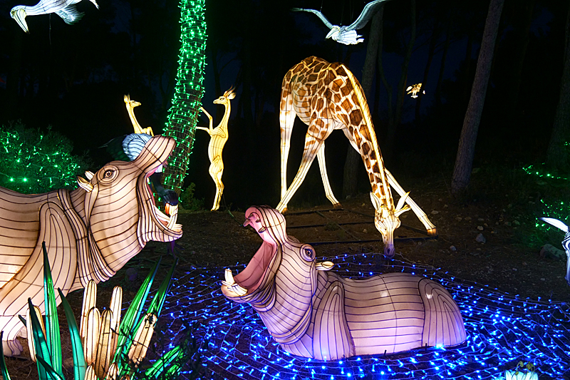 Lumières Africaines ! - Lanternes à la réserve africaine de Sigean