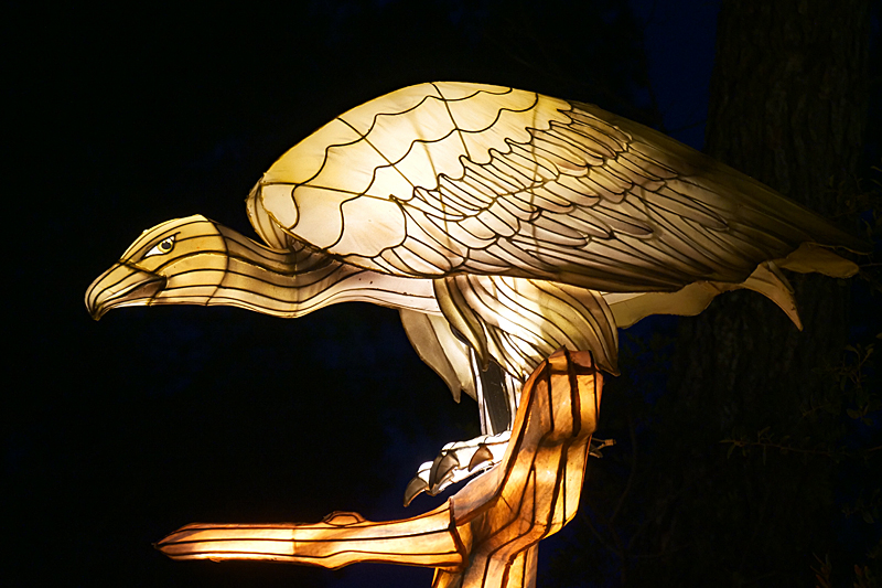 Lumières Africaines ! - Lanternes à la réserve africaine de Sigean