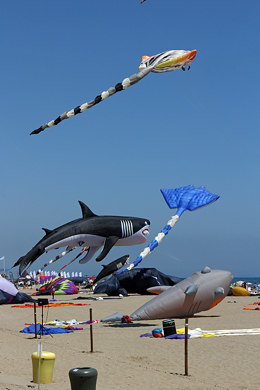 Cerfs-volants aux Natur Ailes ! - (sans commentaire)