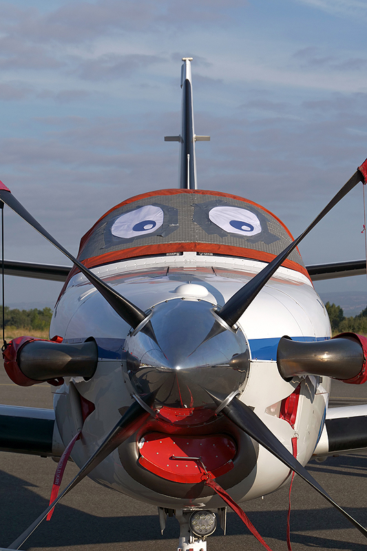 N avions à Carcassonne - Socata TBM 700 
