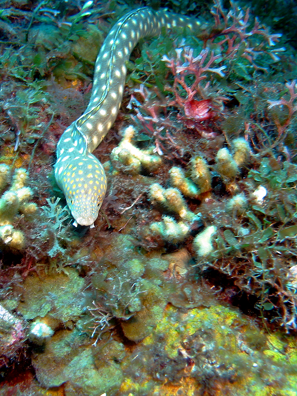 Canyons de Babody