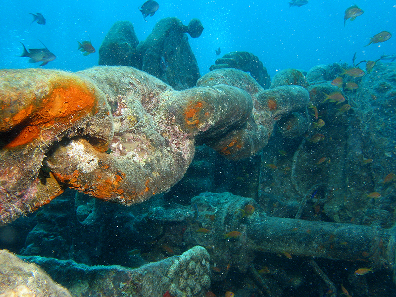 Plongée n° 8