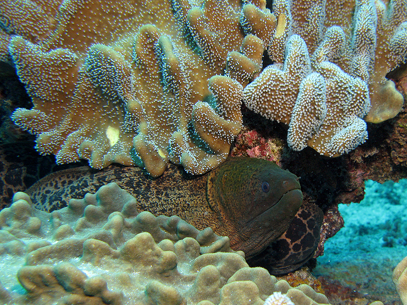 Nouméa