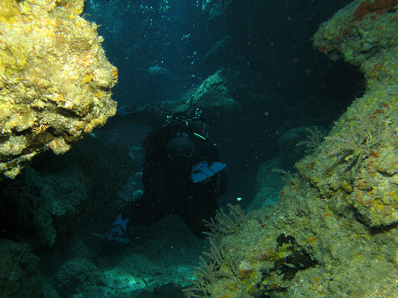 Lifou
