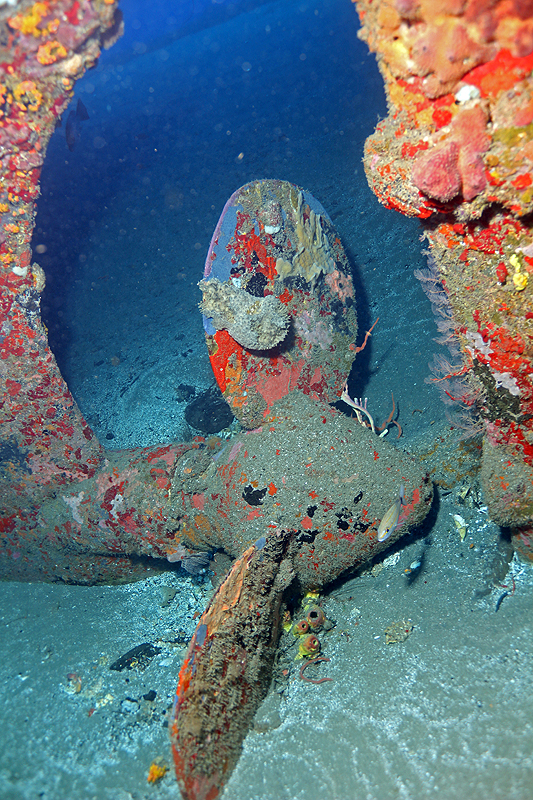 Réserve Cousteau