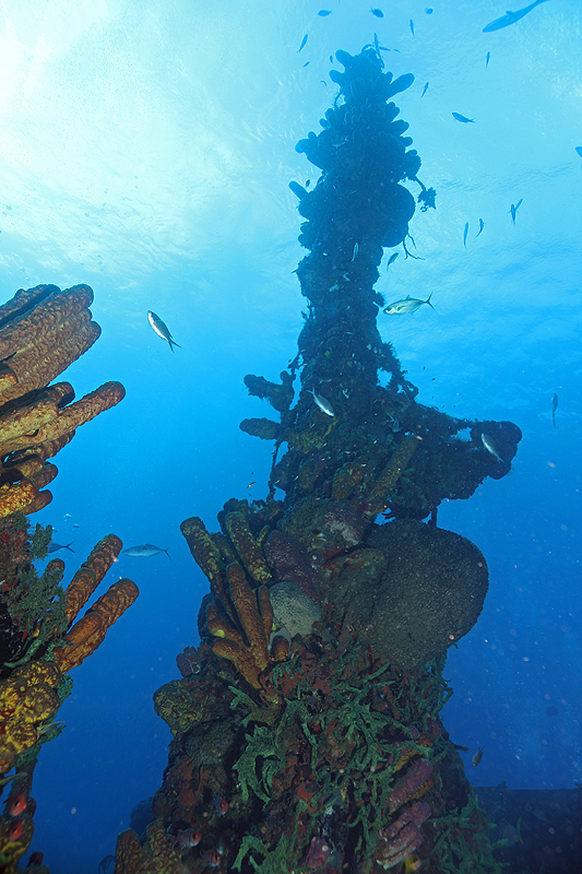 Réserve Cousteau