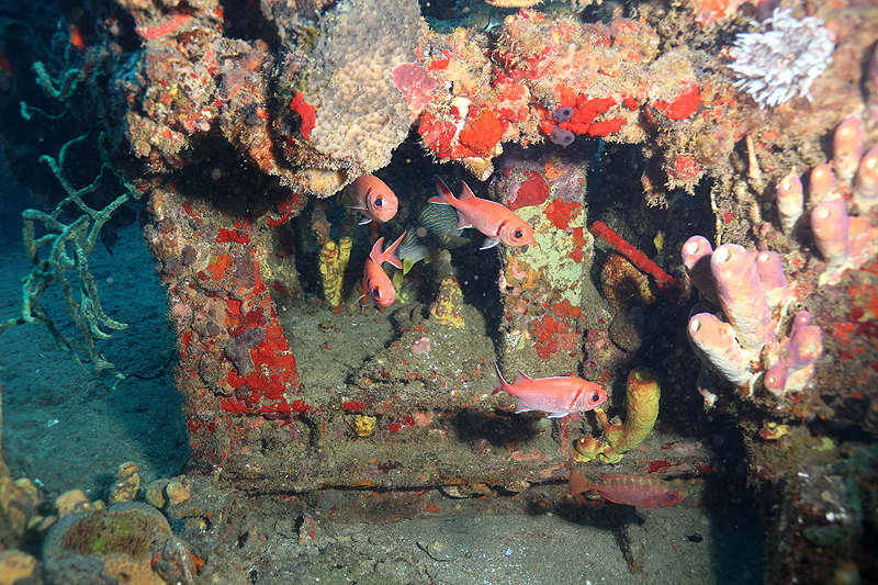 Réserve Cousteau