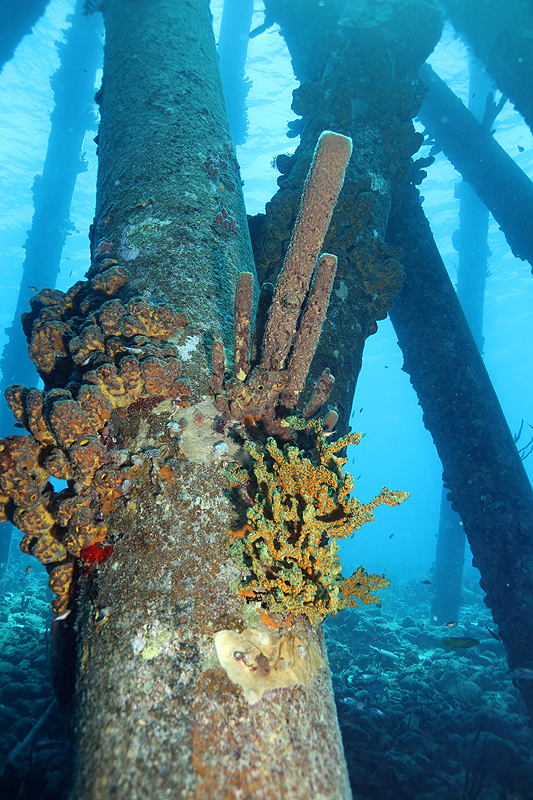 Salt Pier (Pl. n° 3)