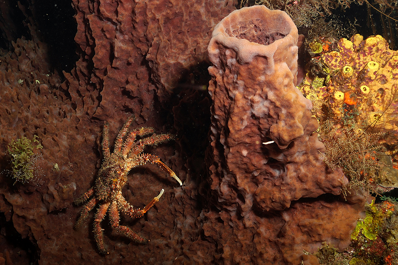 Martinique - photo n° 59