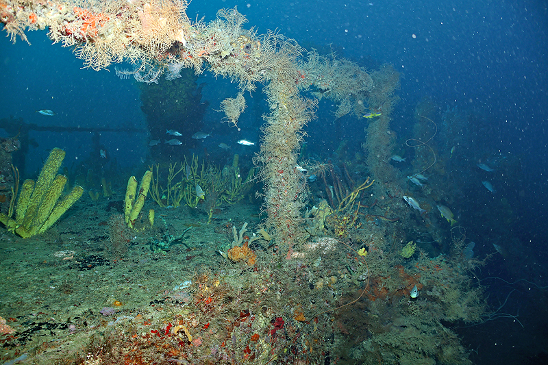 Martinique - photo n° 140