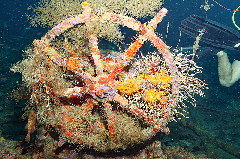 Martinique - photo n° 145