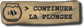 -- Galerie complète --
