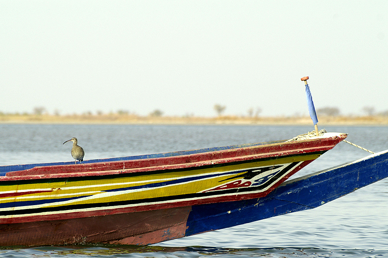 Sine Saloum