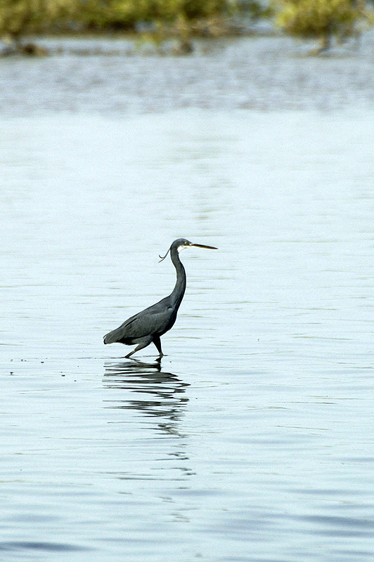 Sine Saloum