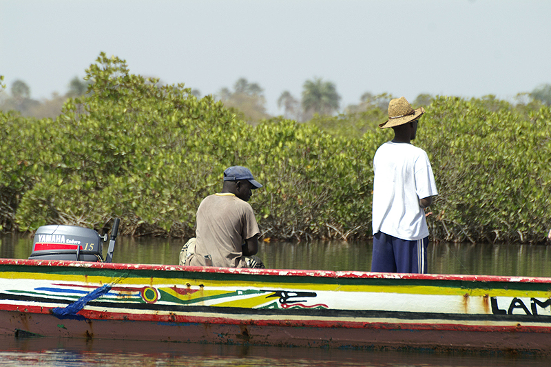 Sine Saloum