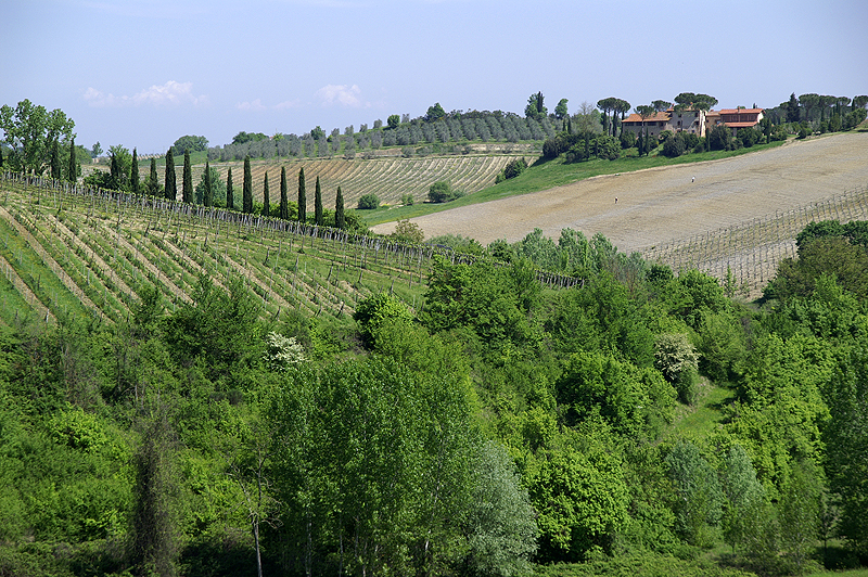 [q]San Gimignano[q]