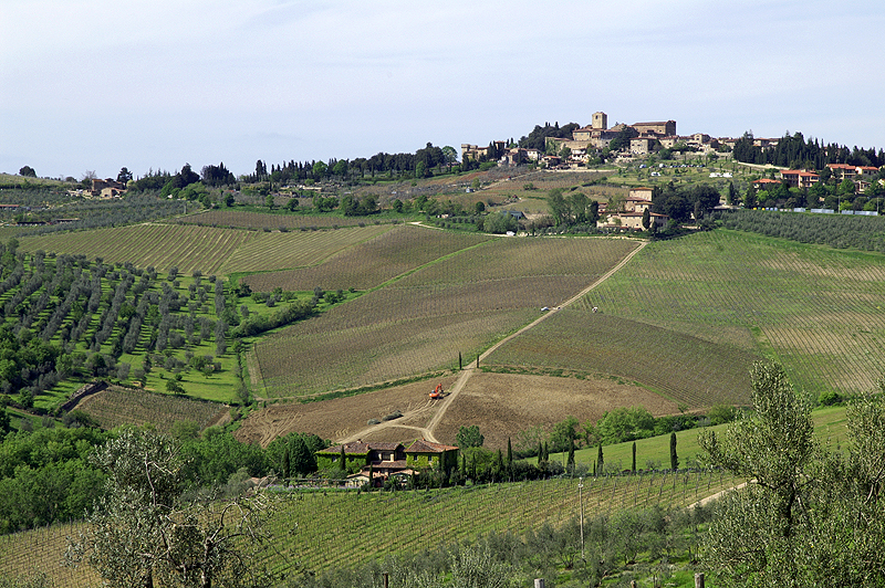 Le Chianti