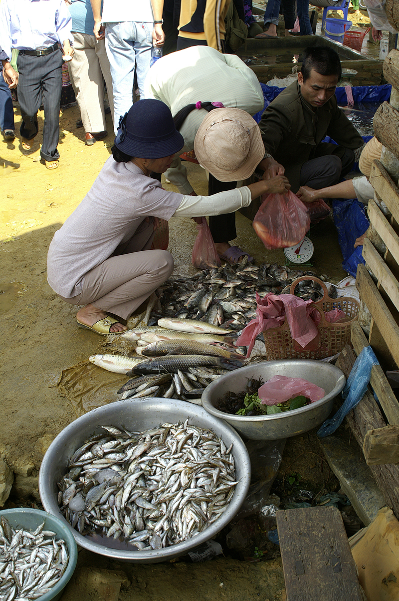 Bac Ha