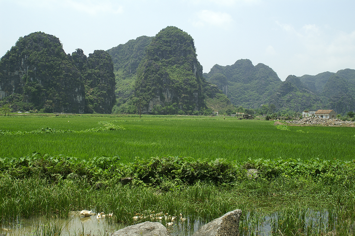 Tam Coc