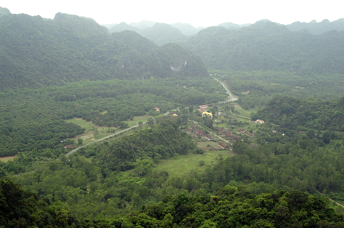 Île de Cat Ba
