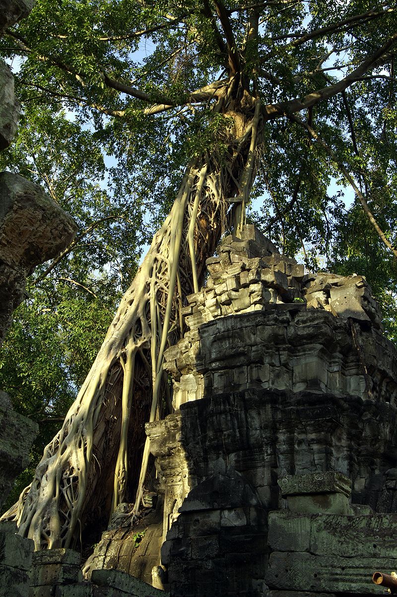 Cité d Angkor