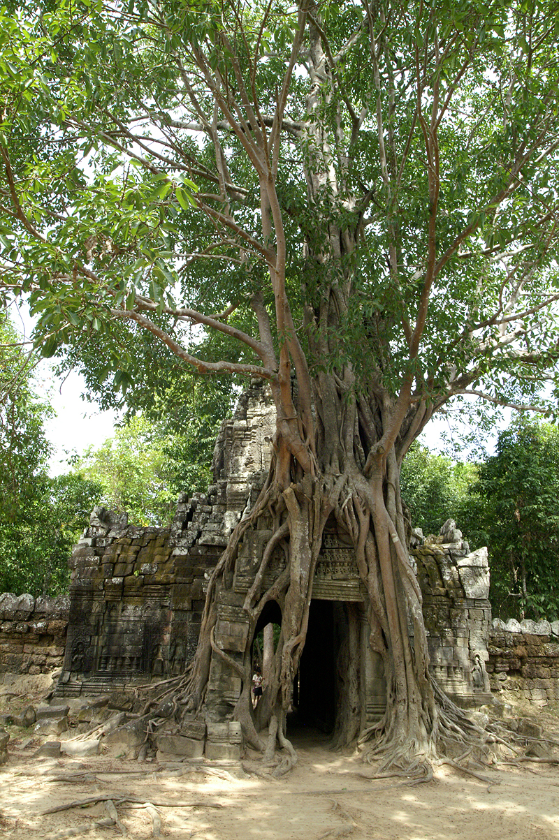 Cité d Angkor