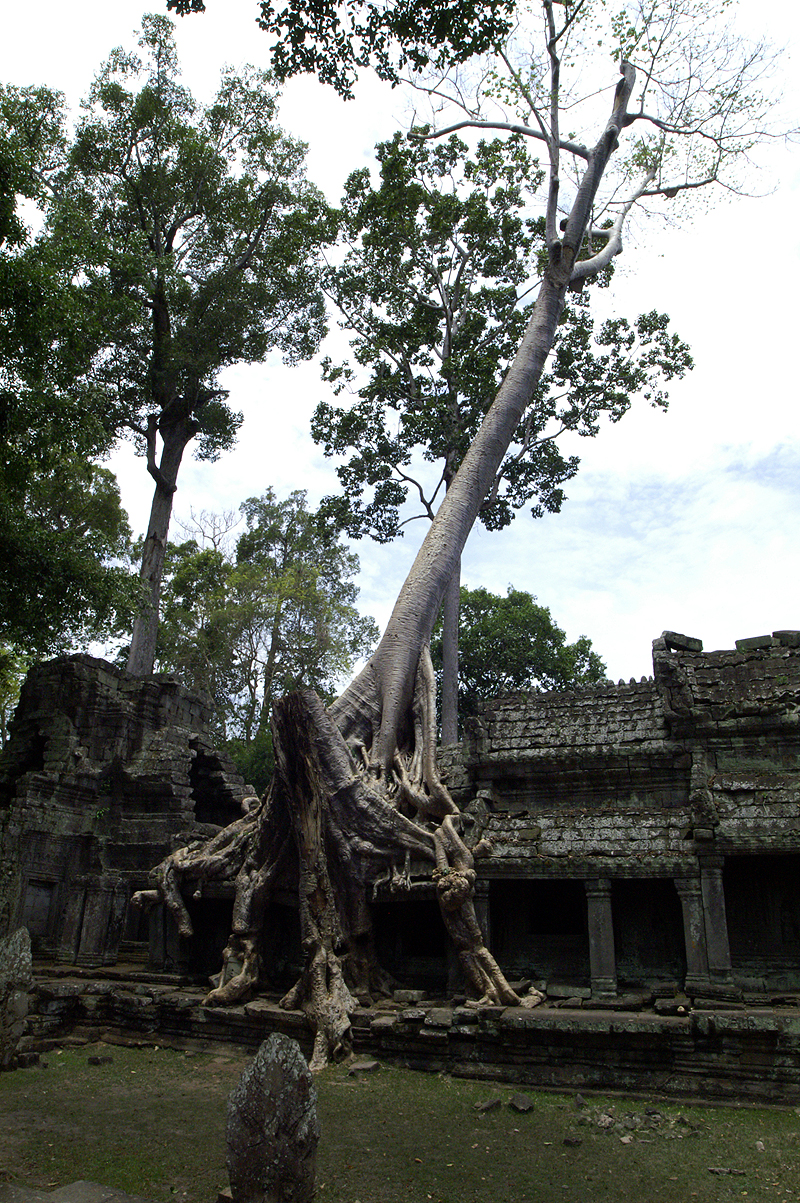 Cité d Angkor