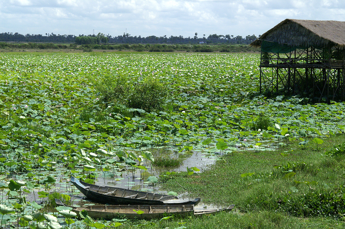 Siem Reap