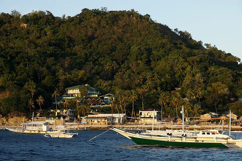 [q]Apo Island[q]