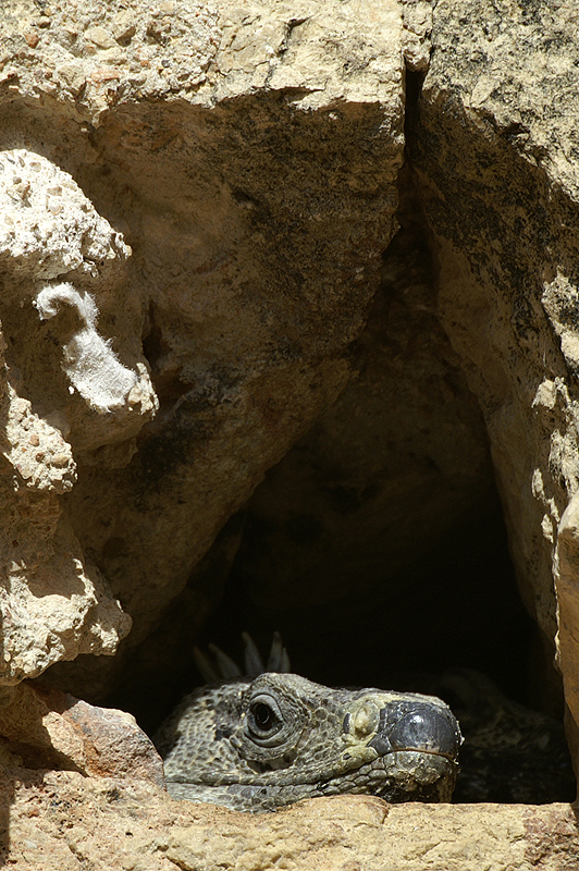 Uxmal