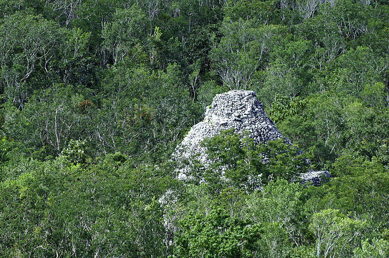 Coba