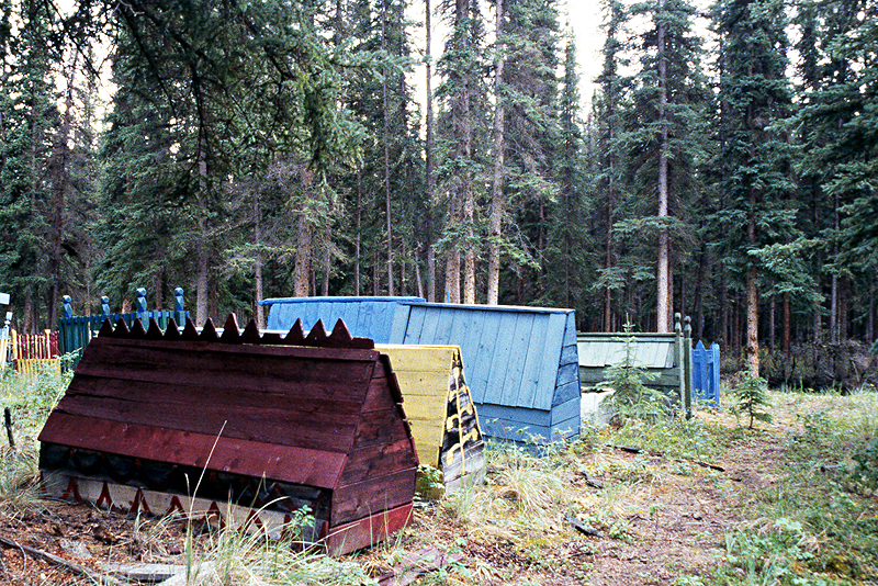 [q]Yukon River[q] - Km 433