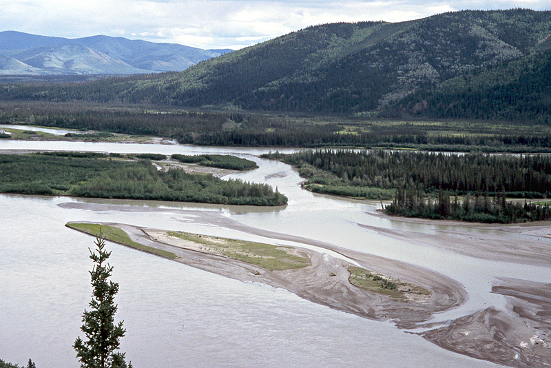 [q]Yukon River[q] - Km 597